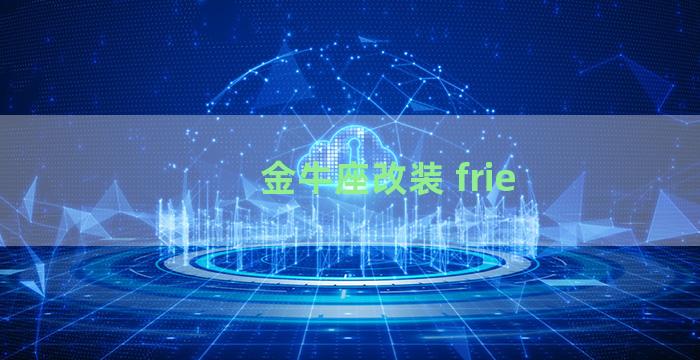 金牛座改装 frie